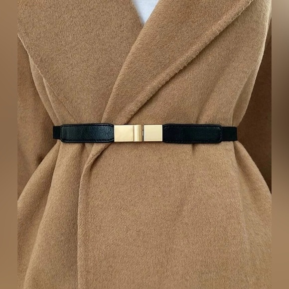 Elegant Black and gold Buckle Skinny Belt ✨?✨